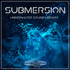 Spectravelers_Submersion_Cover_Center_A