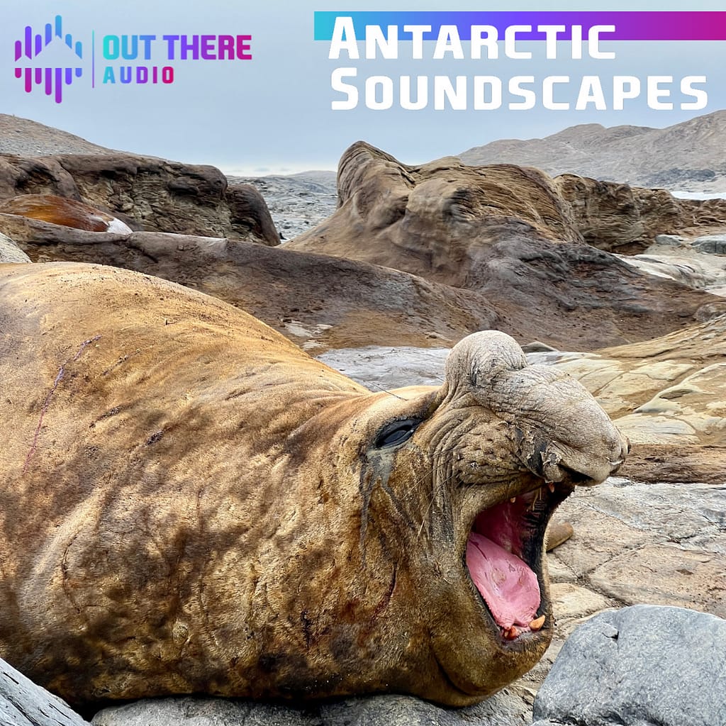 Antarctic Soundscapes