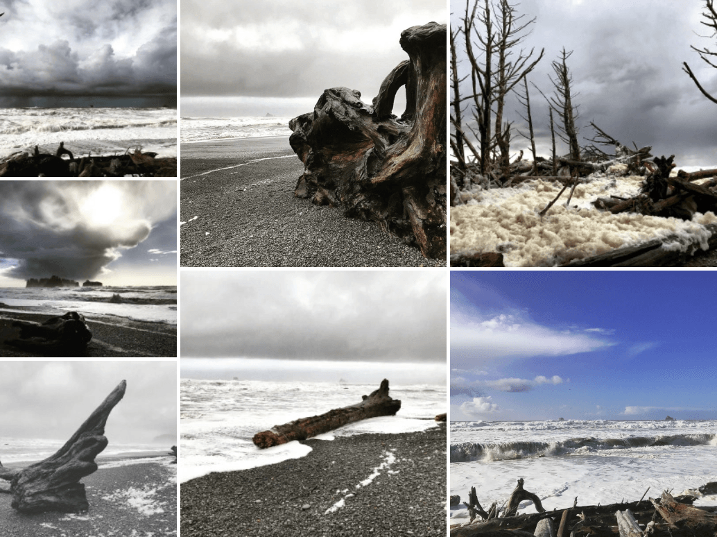 A collage of driftwood and waves along a rocky shore