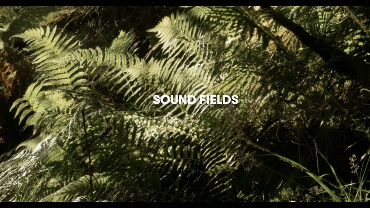 contemporary field recording