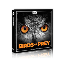 Birds Of Prey sound effects – recordings