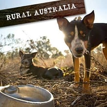 Rural Australia sound effects library