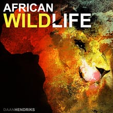 African Wildlife sound effects library