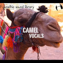 Camel sound effects library