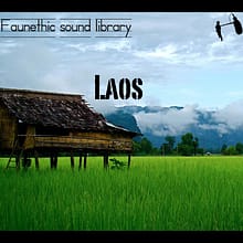 Laos sound effects library