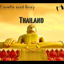 Thailand sound effects