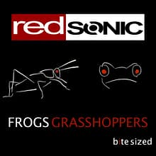 Frogs and grasshopper sound effects