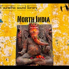 North India Ambiences and Sound Effects
