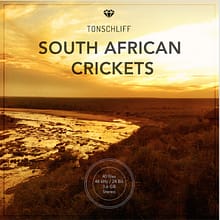 South African cricket sounds