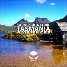 Tasmania nature sound effects