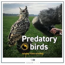 predatory_birds_album small