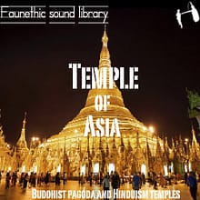 Faunethic_Temple of Asia sound library cover