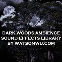 Dark Woods Sound Effects