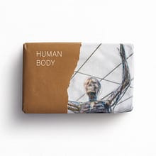 asfx_Human-Body-scaled