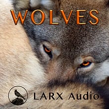 LARX003_Wolves_v3_Cover_700x700
