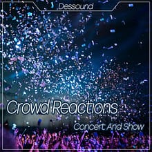 Dessound Crowd Reactions Cover 700px