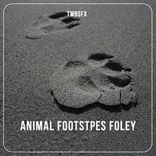 TWRSFX025 – Animal Footsteps Foley