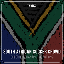 TWRSFX011 – South African Soccer Crowds