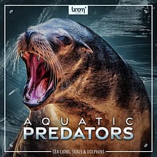 a_soundeffect_Aquatic-Predators-Soundminer-Sound-Effects-BOOM-Library