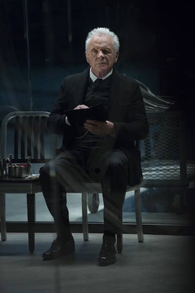 Dr Ford from Westworld