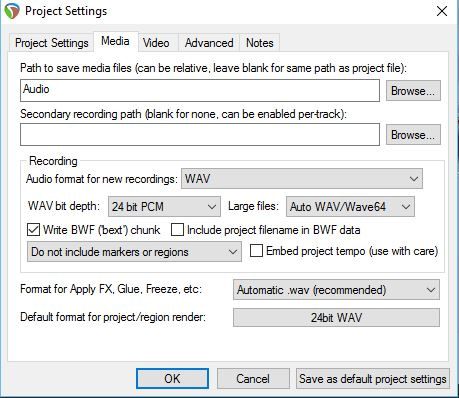 Reaper project media settings