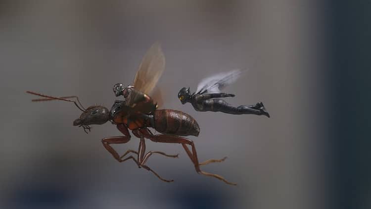 Ant-Man rides a carpenter ant next to the flying Wasp.