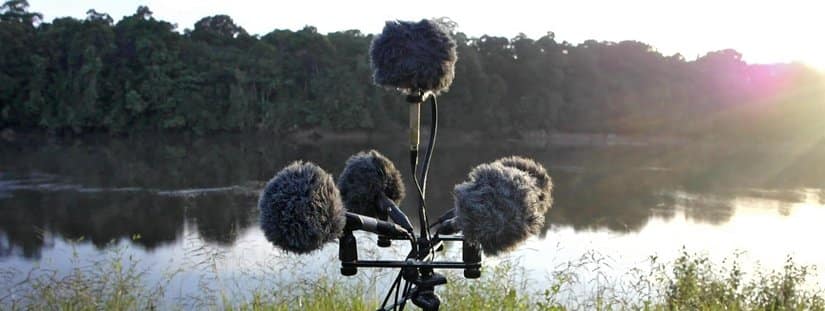 A surround mic setup along a sunny river