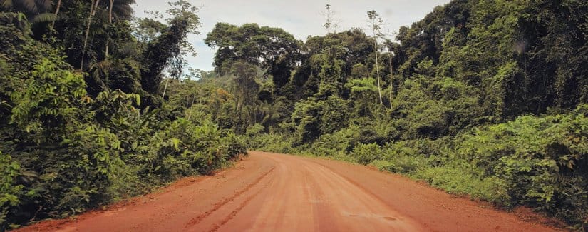 A clay street runs through a thick jungle.