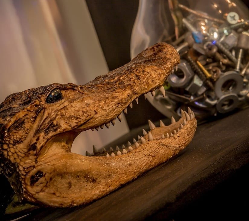 A crocodile head and a lightbulb full of nuts, bolts, and screws