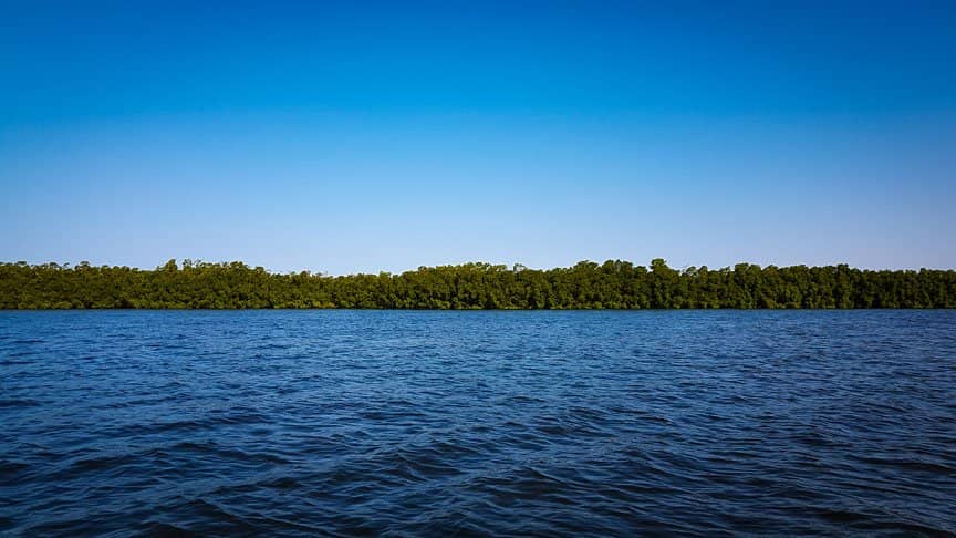 The dark blue water is lined by dark green trees and brush.
