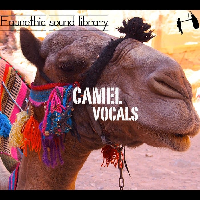Camel Vocals Camel Sound Effects Library