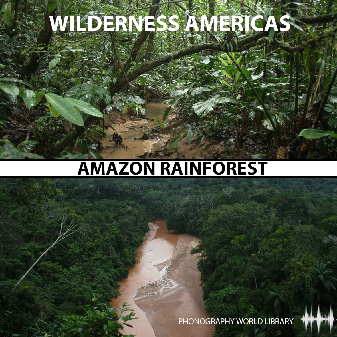 Amazon Jungle Rainforest Wilderness Americas Jungle Sound Effects