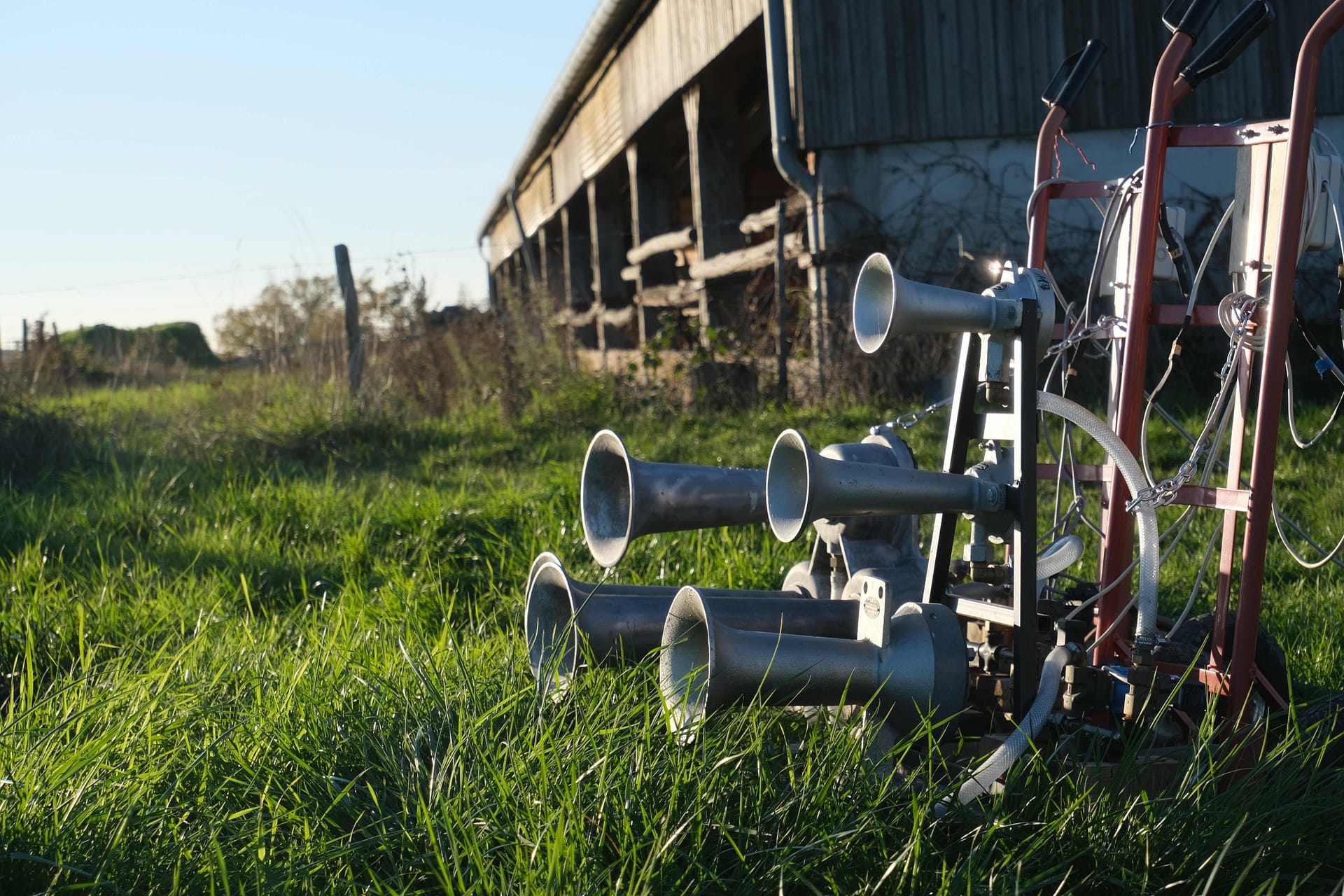 Boat Horns Horns Sound Effects Library