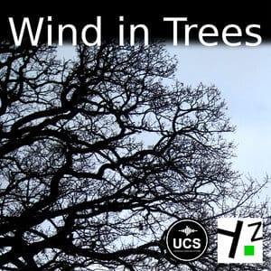 Wind In Trees | Wind Sound Effects Library | Asoundeffect.com