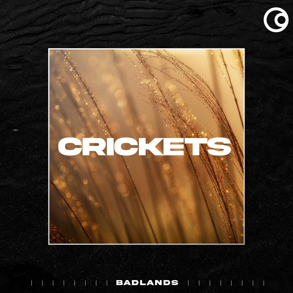 Crickets Crickets Sound Effects Library