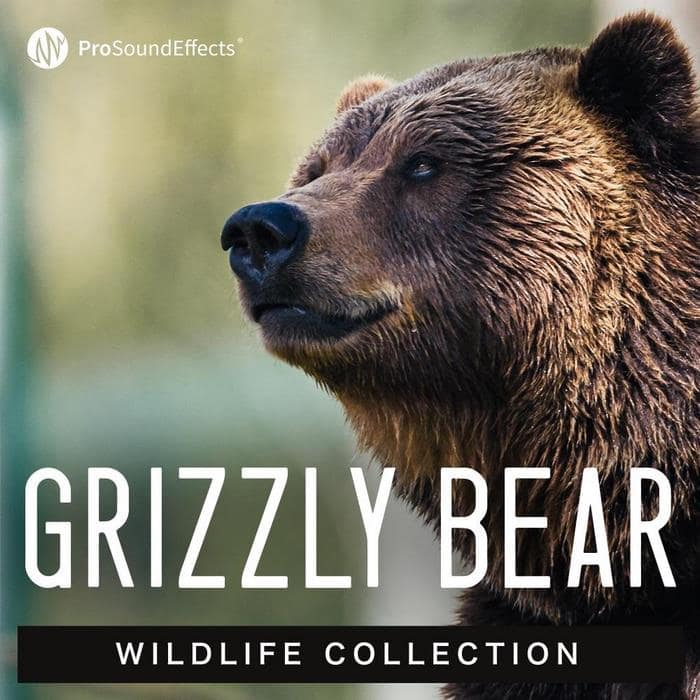 Wildlife Collection Grizzly Bear Bear Sound Effects Library