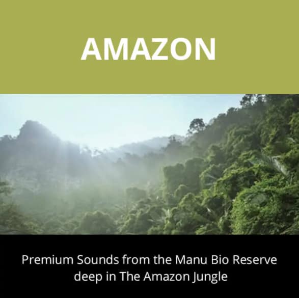 Amazon Jungle Sound Effects Library