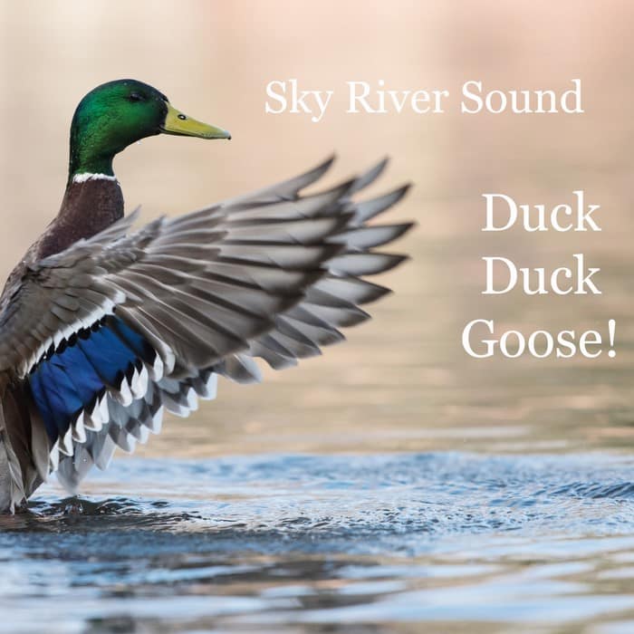 Duck Duck Goose! Duck Sound Effects Library