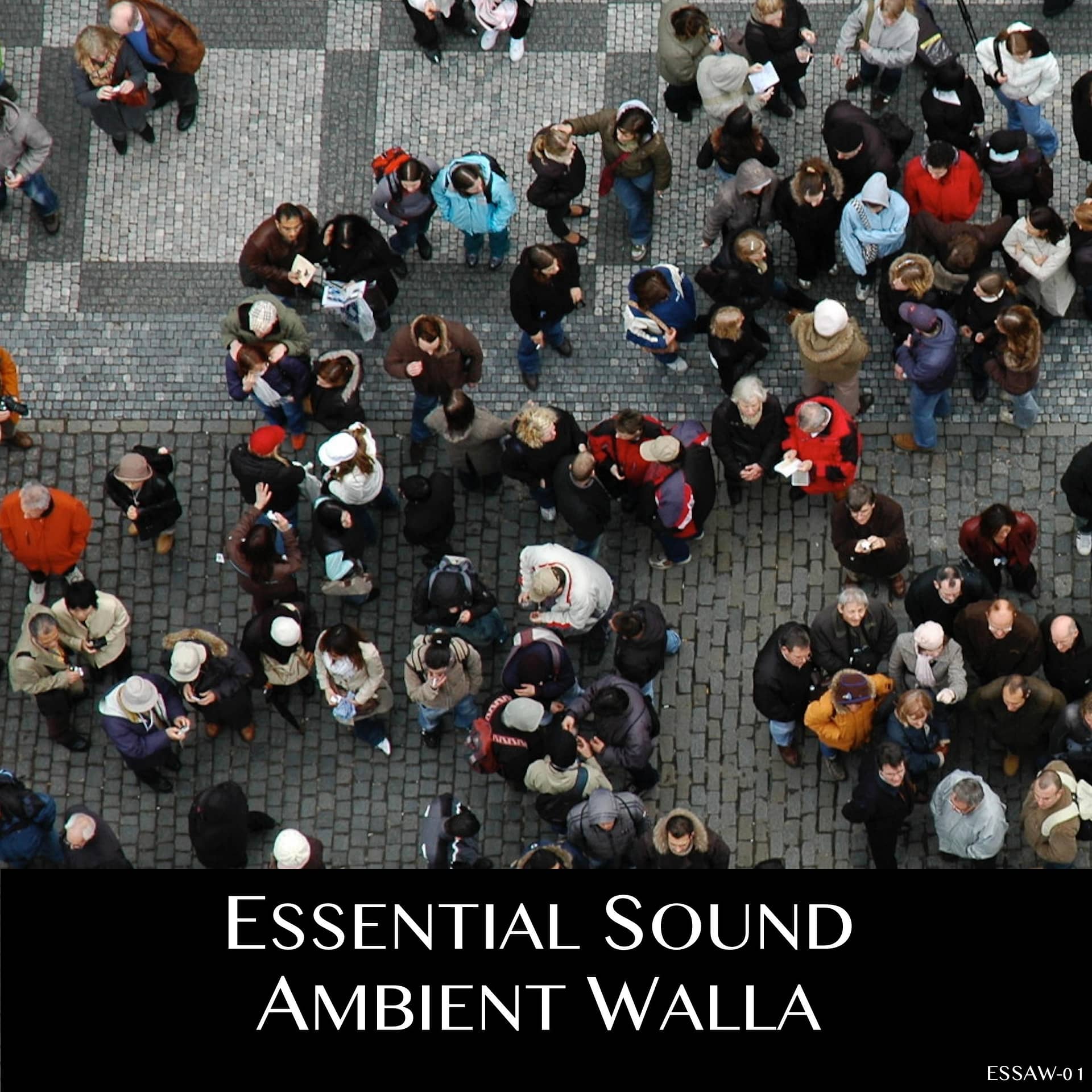 ESSENTIAL SOUND AMBIENT WALLA Cover