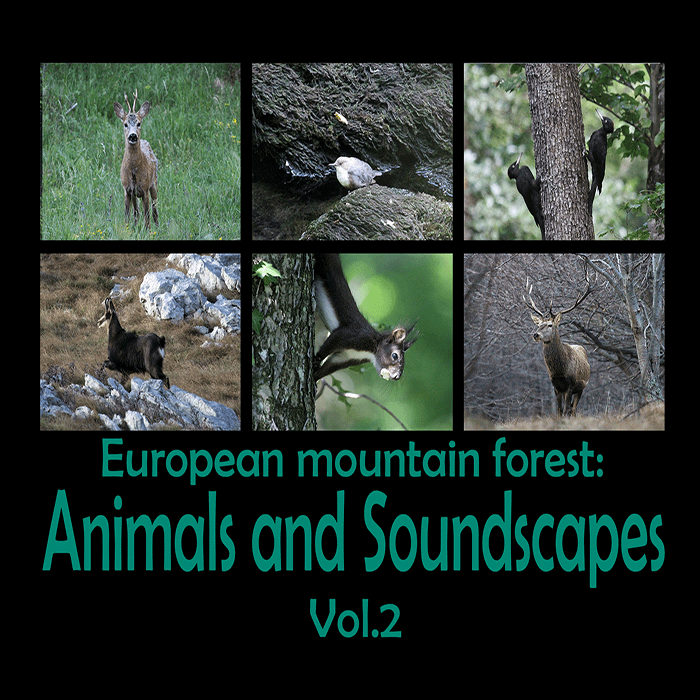 European animals 2_Cover