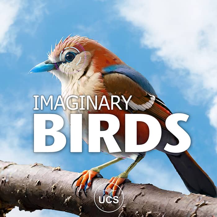 IMAGINARY BIRDS COVER