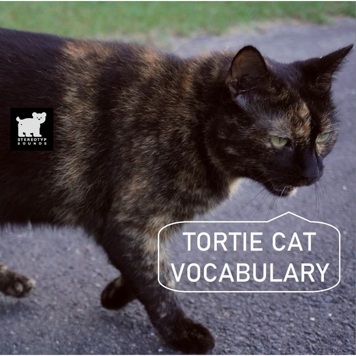 a_soundeffect_Tortie-Cat-Vocabulary-Sound-FX-Library-icon