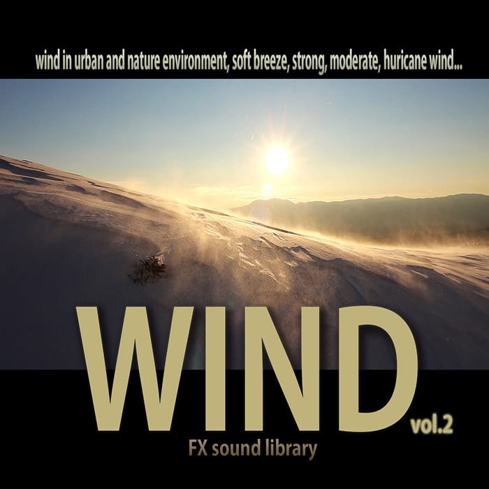WIND 2_cover