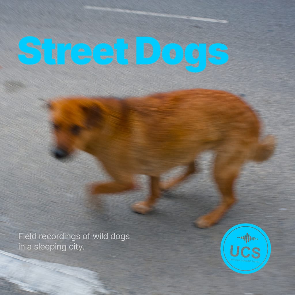 Street Dogs
