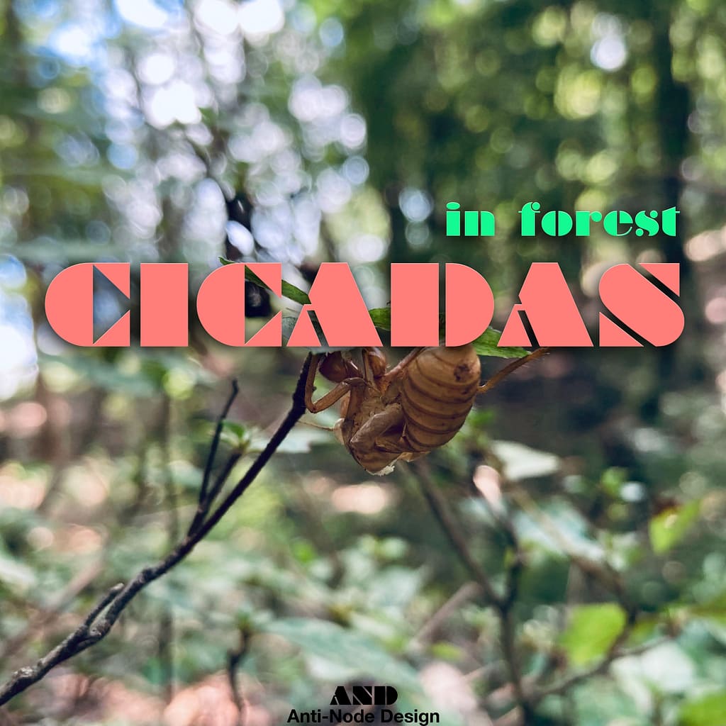 CICADAS