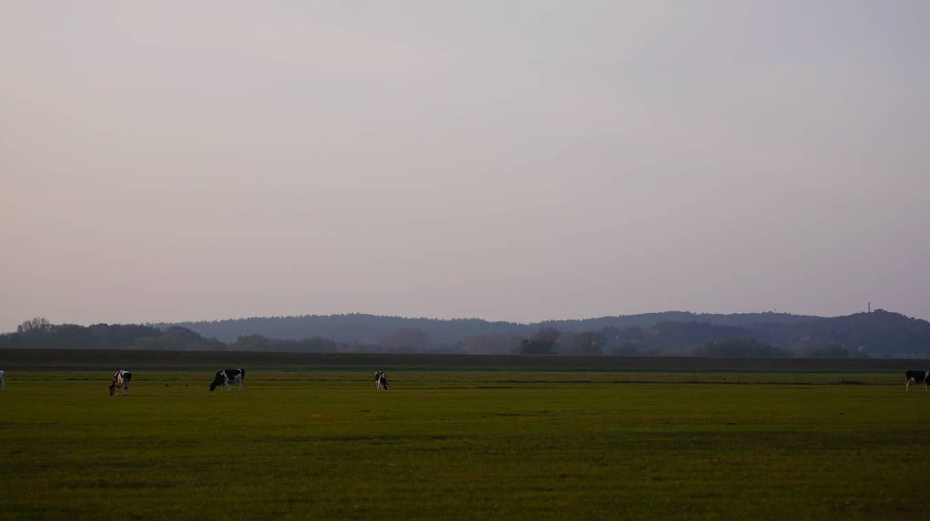 wendland_image_12