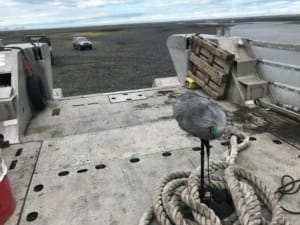 Katla_sound-13