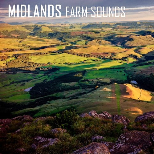 Farm Sound Effects