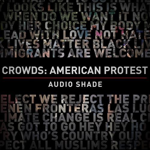 Crowds American Protest