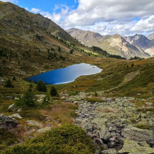 summer mountain SFX